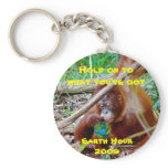 Celebrate Earth Hour keychains