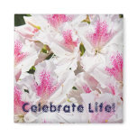 Celebrate Life! magnet Pink White Azalea Flowers