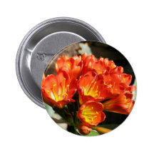 Celebrate Pinback Buttons