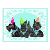 Celebration Scotties in Party Hats Postcard