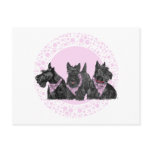Celebration Scotties in Pink postcards