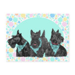 Celebration Scotties postcards