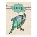 Celeste Peacock Love   Postcard