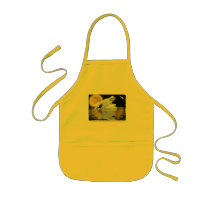 CELESTIAL CHILD APRONS