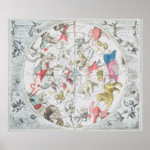 Celestial Showing the Signs of the Zodiac Poster
