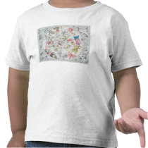 Celestial Showing the Signs of the Zodiac T-shirt