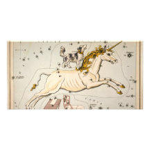 Celestial Vintage Map Customized Photo Card