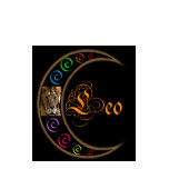 Celestrial Zodiacs - Leo t-shirts