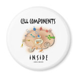 Cell Components Inside Magnet