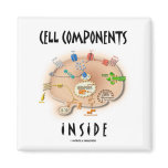 Cell Components Inside magnets