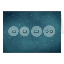 Cell Division Card