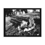 Cemetary Angel black&white -  Postcard