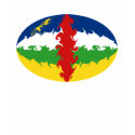 Centrafrique Gnarly Flag T-Shirt