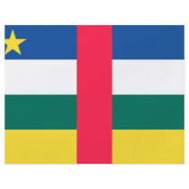 Central African Republic Flag Custom Flyer