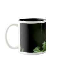 Central America, Panama, Chiriqui Province, 2 Mug