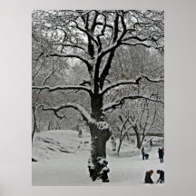 Central park 2010 Snow - CIMG6389 Print