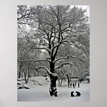 Central park 2010 Snow - CIMG6391 Posters
