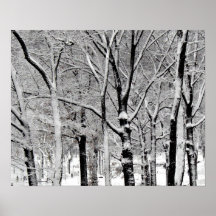 Central park 2010 Snow - CIMG6394-crop Poster