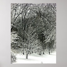 Central park 2010 Snow - CIMG6395 Poster