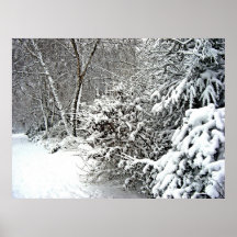 Central park 2010 Snow - CIMG6400 Poster