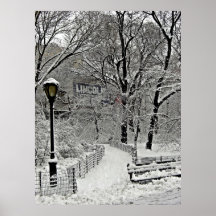 Central park 2010 Snow - CIMG6410 Poster