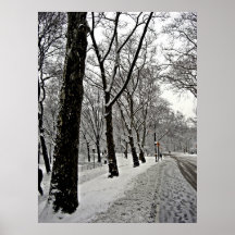Central park 2010 Snow - CIMG6411 Poster
