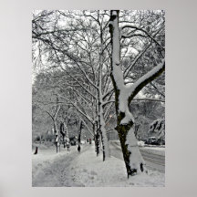 Central park 2010 Snow - CIMG6416 Poster