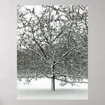 Central park 2010 Snow - CIMG6420 Poster