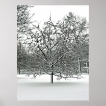 Central park 2010 Snow - CIMG6421 Poster