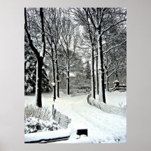 Central park 2010 Snow - CIMG6446 Posters