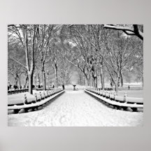 Central park 2010 Snow - CIMG6466-a Posters