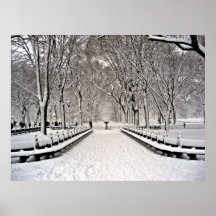 Central park 2010 Snow - CIMG6466 Poster