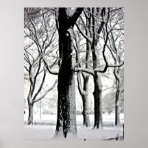 Central park 2010 Snow - CIMG6468 Posters