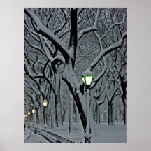 Central park 2010 Snow - CIMG6469 Poster