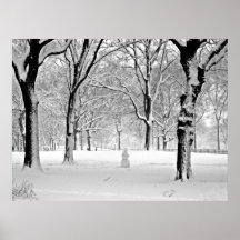 Central park 2010 Snow - CIMG6475 Poster