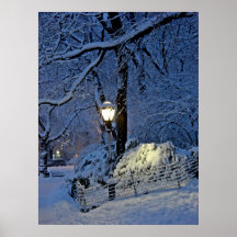 Central park 2010 Snow - CIMG6487 Poster