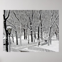 Central park 2010 Snow - CIMG6493 Poster