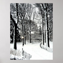 Central park 2010 Snow - CIMG6495 Poster