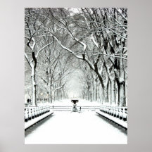 Central park 2010 Snow - CIMG6497 Poster