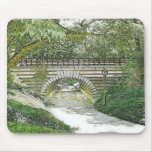 Central Park Bridge and Path mousepads