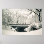 central park bridge posters