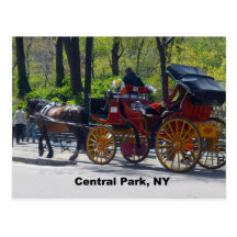 Central Park, Horse and Carriage Postcards