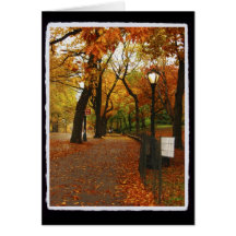 Central Park in Autumn Greeting Cards