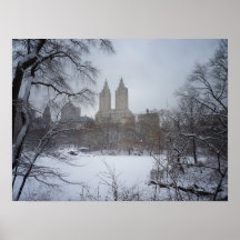 Central Park in Winter, Through Trees, Medium Poster