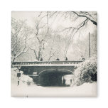 central park magnets