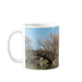 Central Park Mug