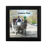 Central Park, New York City Keepsake Boxes