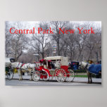 Central Park / New York posters