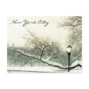 central park nyc tree postcards