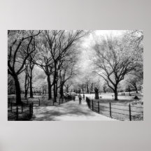Central Park poster